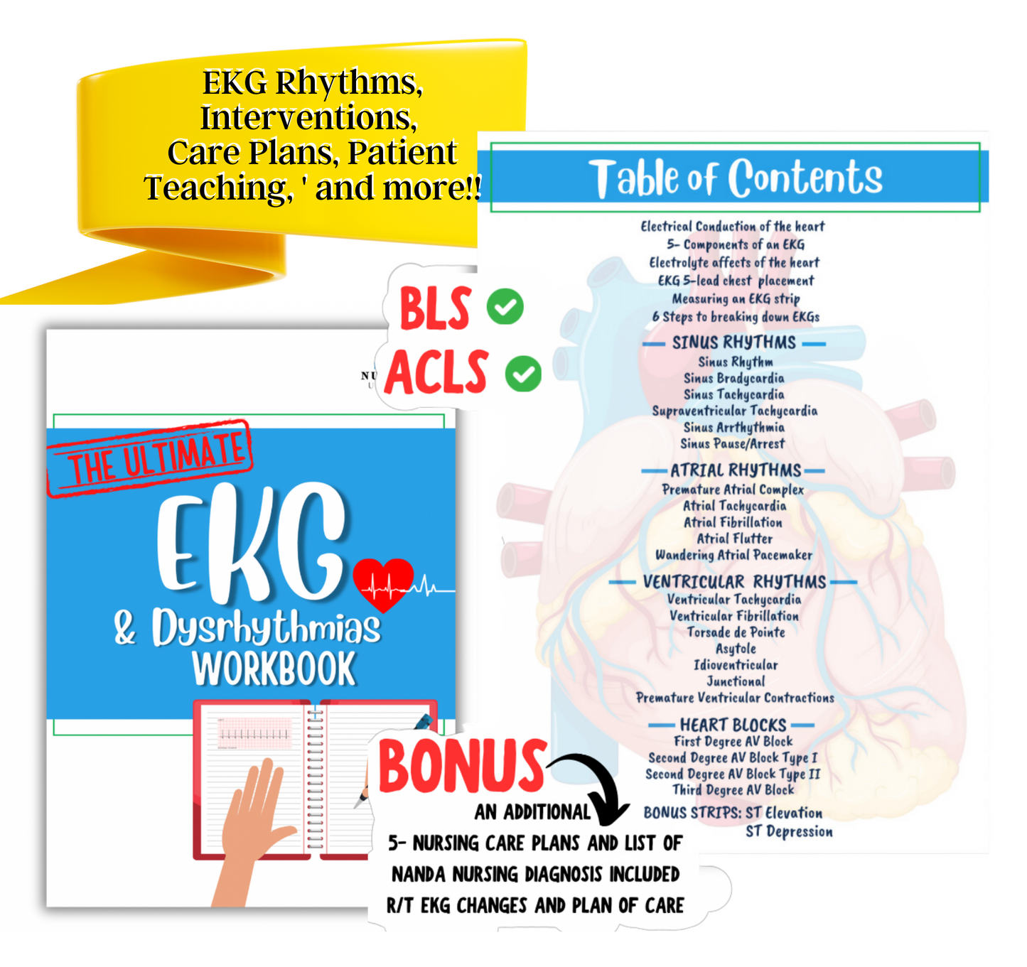 EKG Study Guide - BLS/ACLS Rhythms - Nursing Study Guide