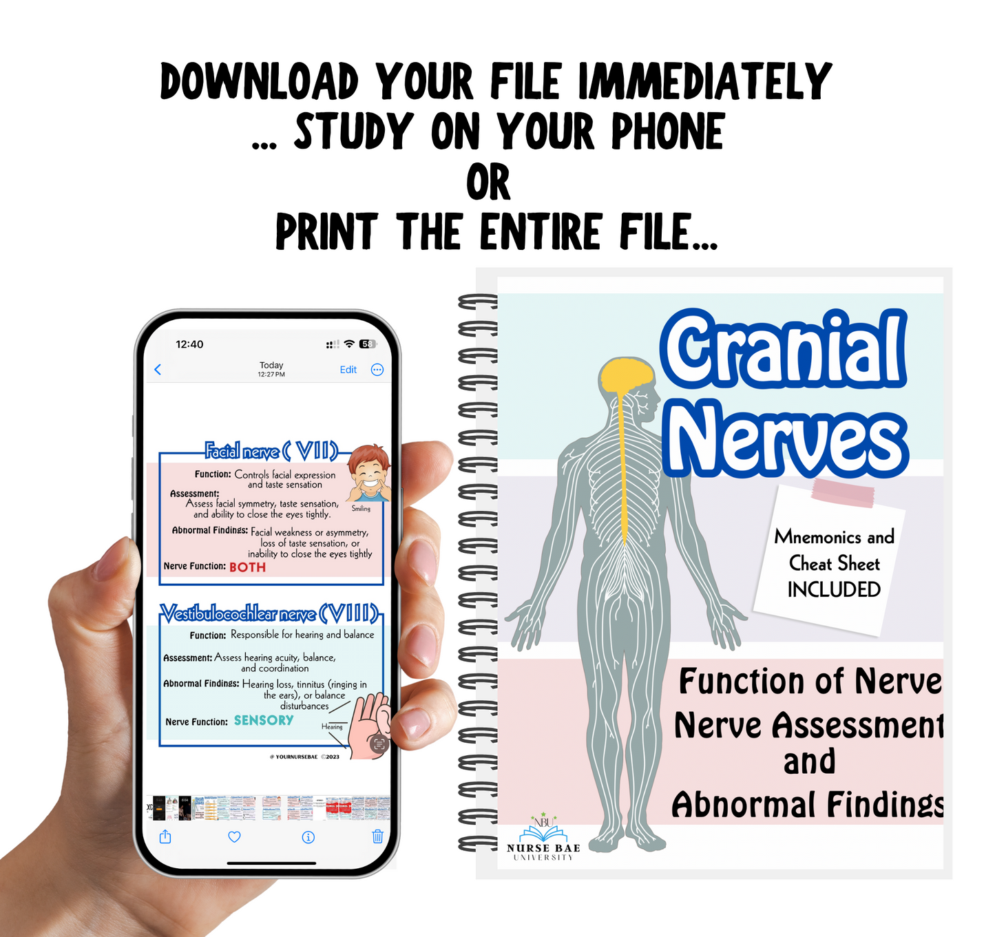 Cranial Nerves Study Guide - Nursing Study Guide