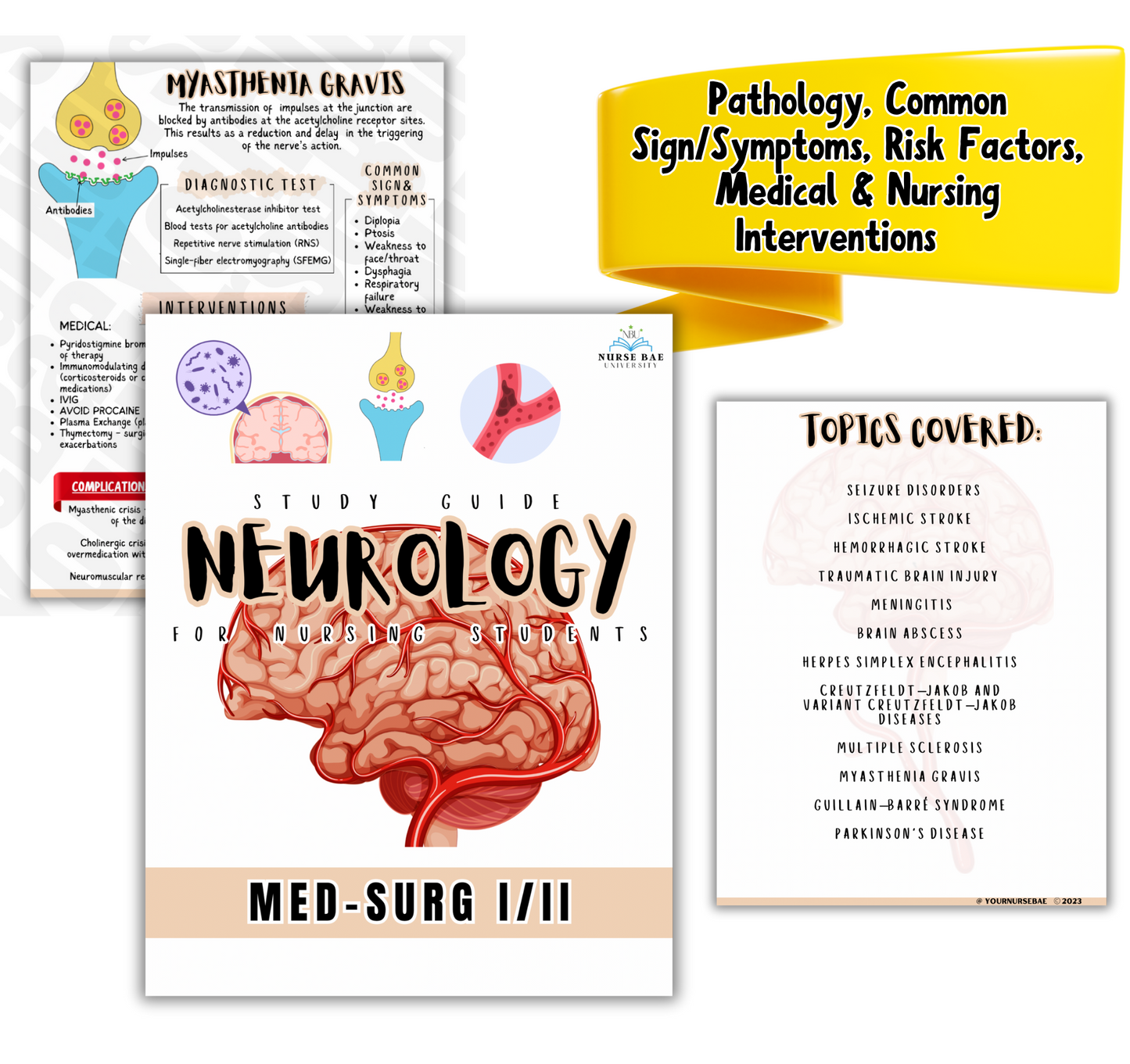 Neuro Study Guide - Med Surg I/II - Nursing Study Guide