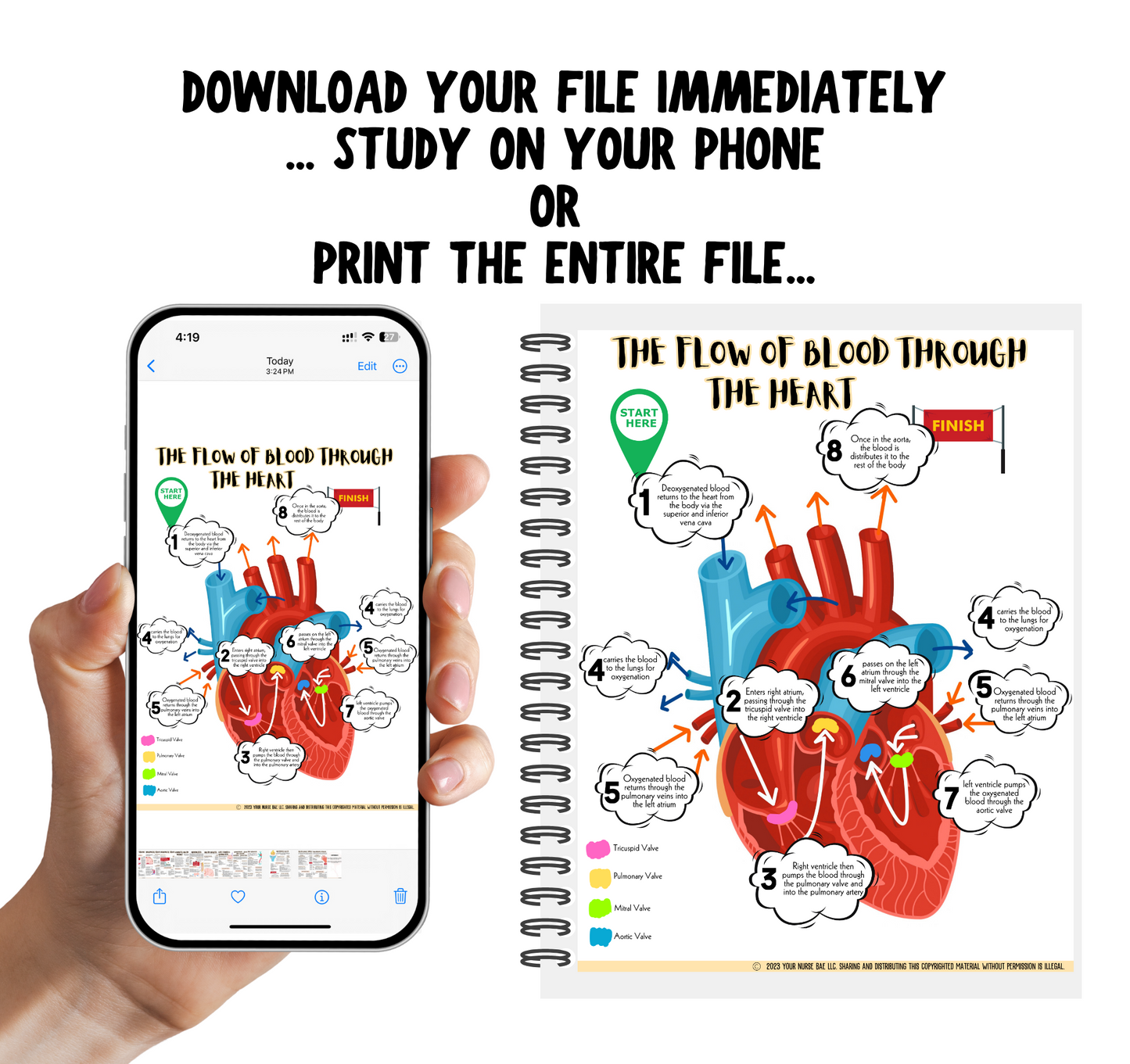 Cardiac Study Guide - Med Surg I/II - Nursing Study Guide