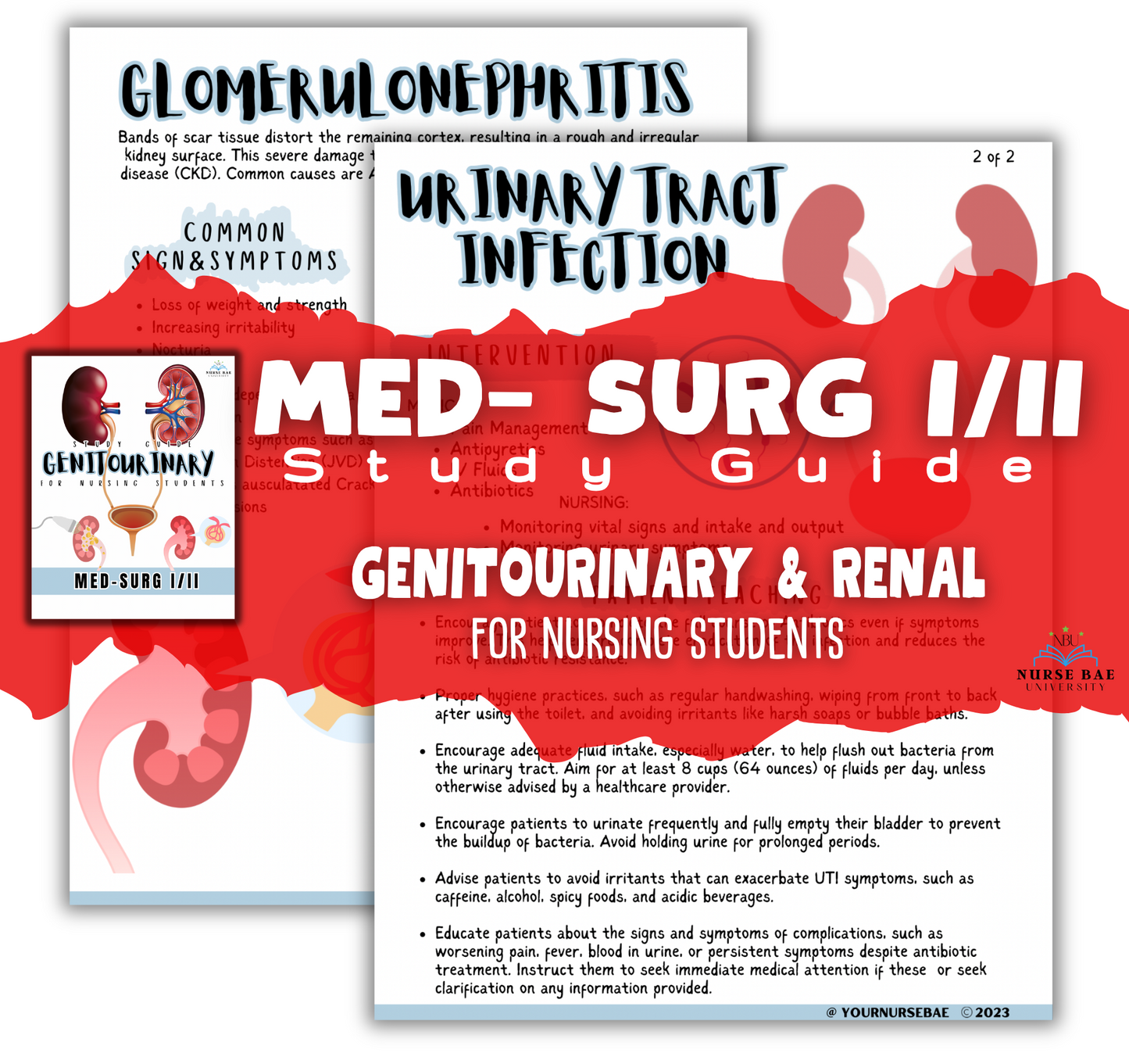 Urinary/ Renal Study Guide - Med-Surg I/II - Nursing Study Guide