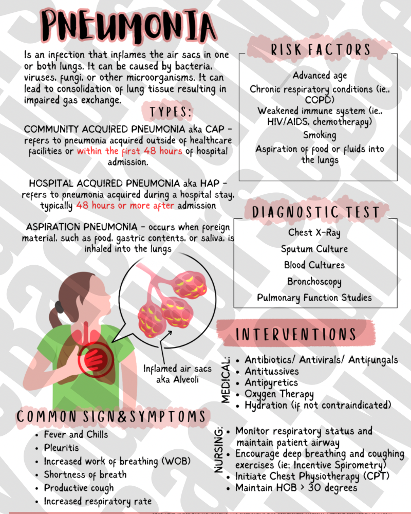 Respiratory Study Guide - Med Surg I/II - Nursing Study Guide