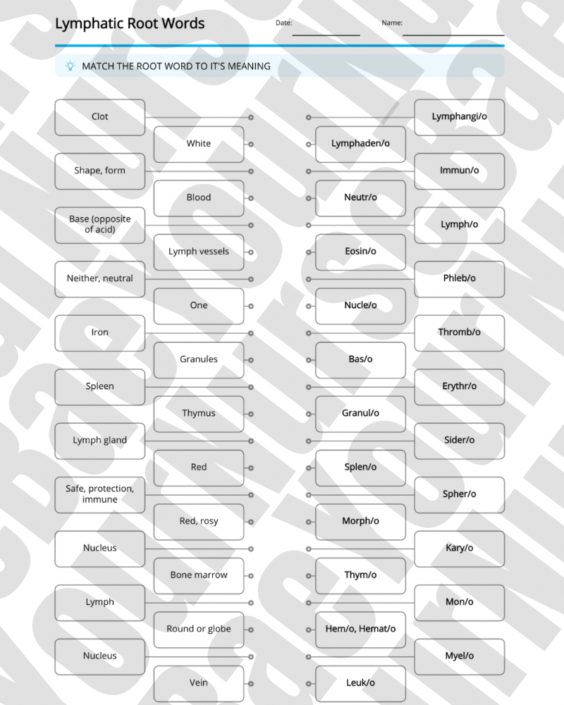 Medical Terminology - Nursing Study Guide