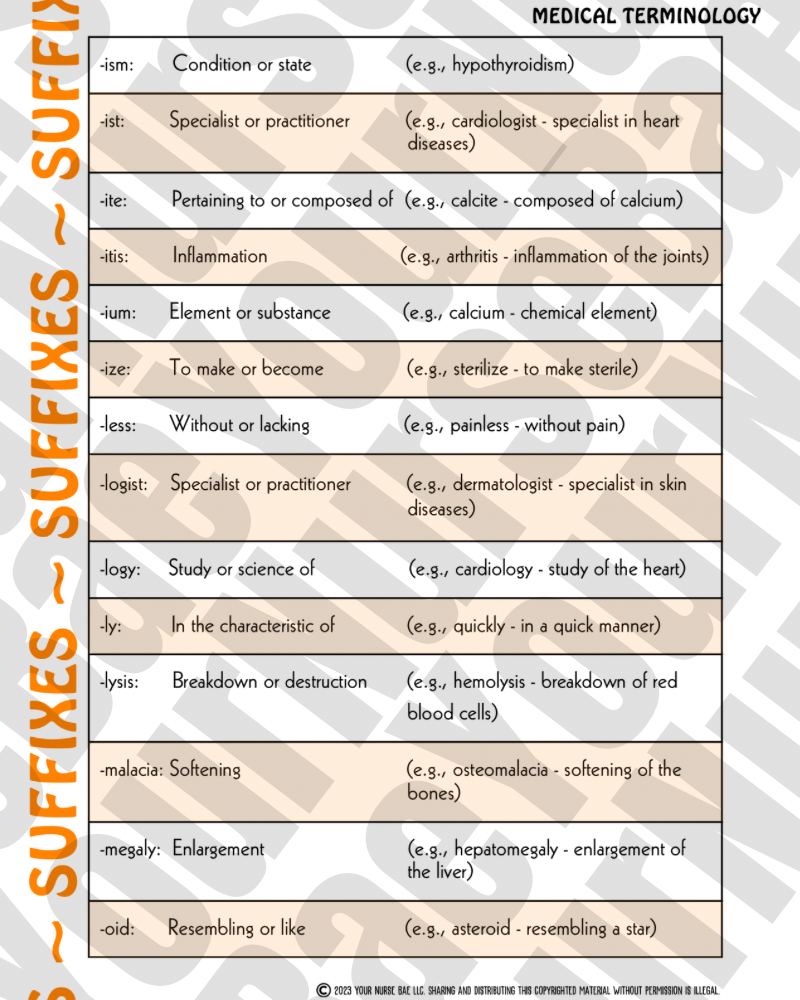 Medical Terminology - Nursing Study Guide