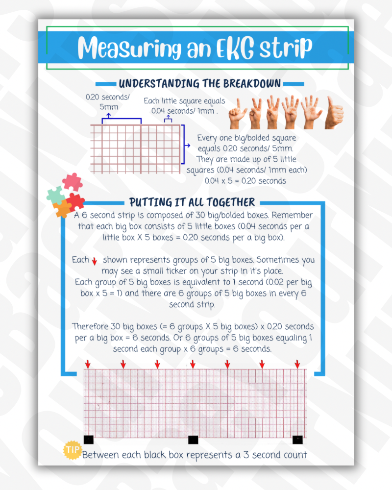 EKG Study Guide - BLS/ACLS Rhythms - Nursing Study Guide