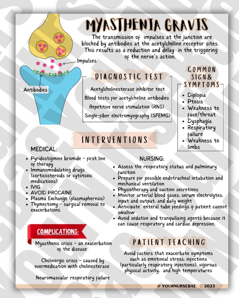 Neuro Study Guide - Med Surg I/II - Nursing Study Guide