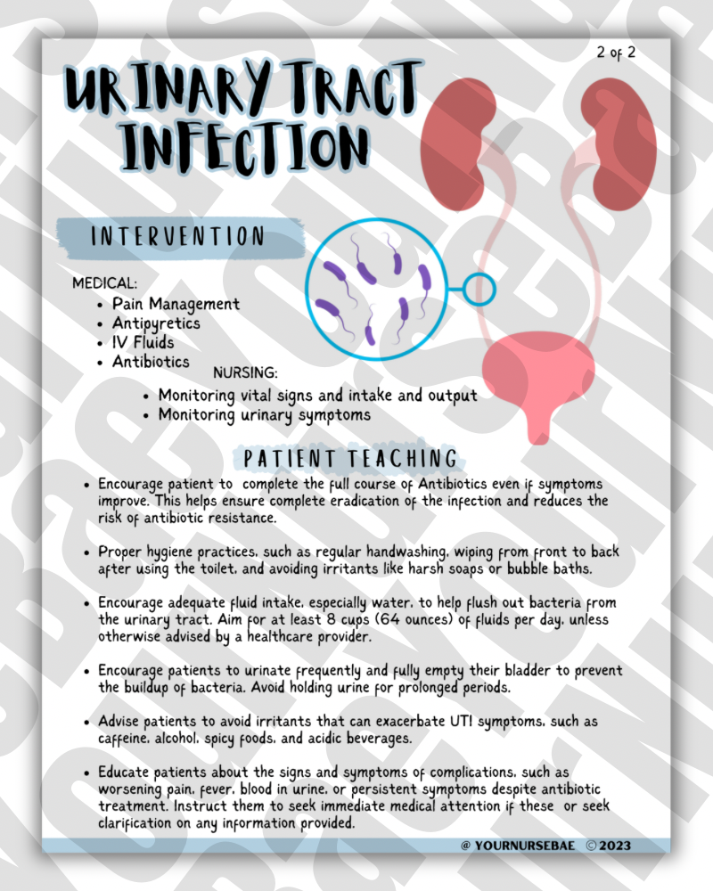 Urinary/ Renal Study Guide - Med-Surg I/II - Nursing Study Guide