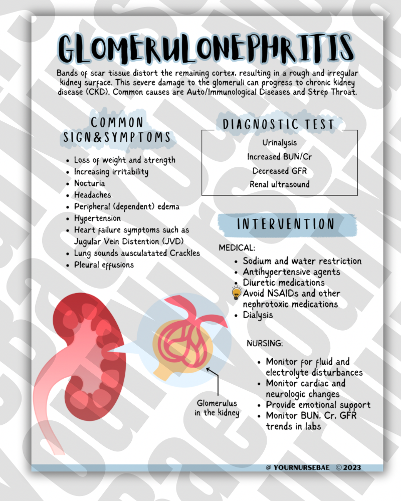 Urinary/ Renal Study Guide - Med-Surg I/II - Nursing Study Guide