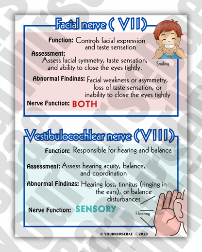 Cranial Nerves Study Guide - Nursing Study Guide